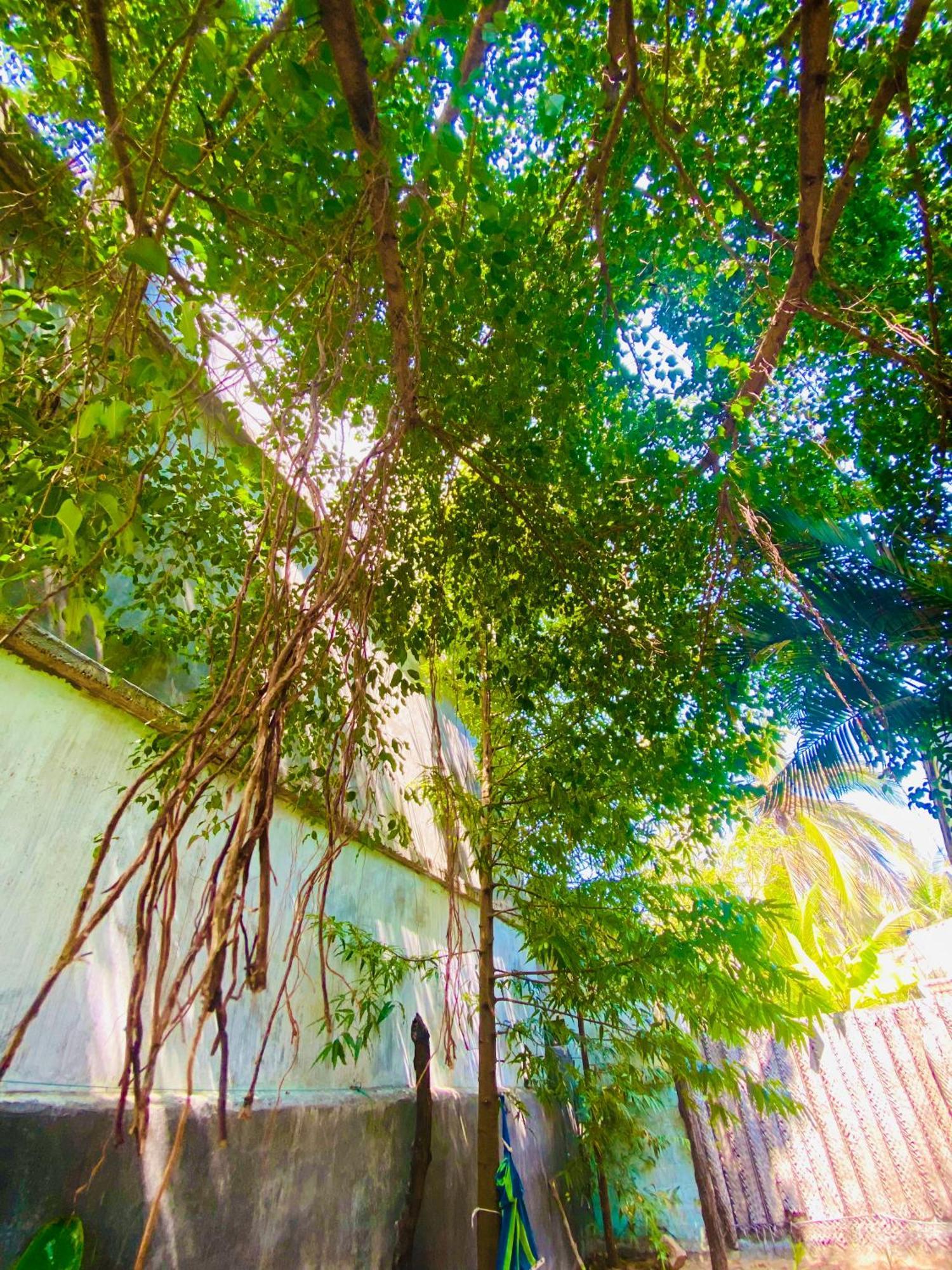 Marina Way Hotel Arugam Bay Exterior photo
